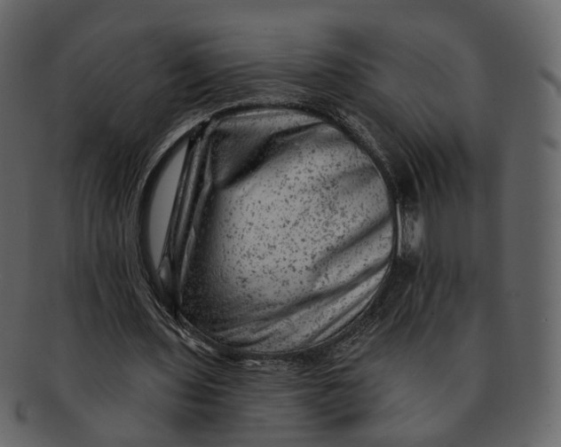 X0000092300435200710051223