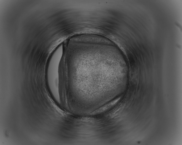 X0000092300437200710051223