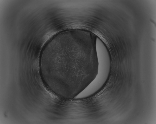 X0000092300438200710051223