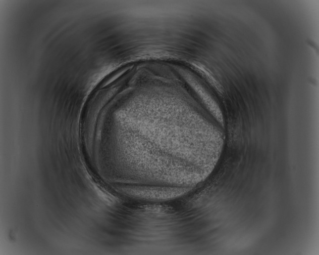 X0000092300439200710051223