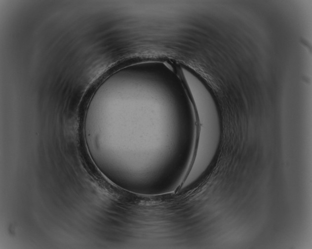 X0000092300440200710051223