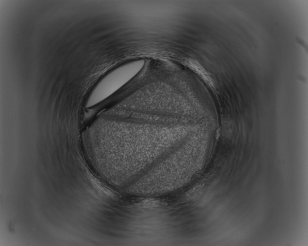 X0000092300441200710051223