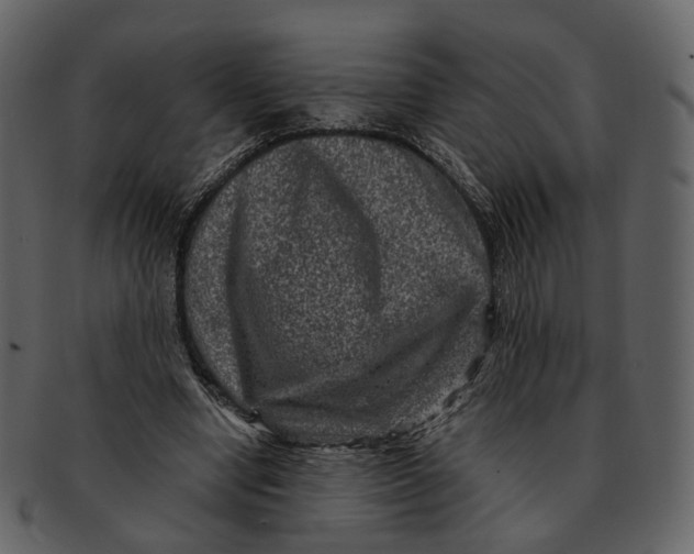 X0000092300442200710051223