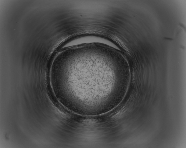 X0000092300444200710051223