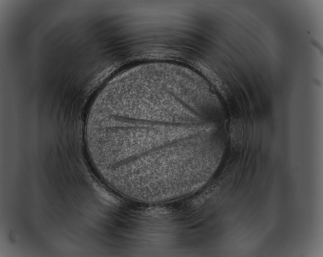 X0000092300445200710051223