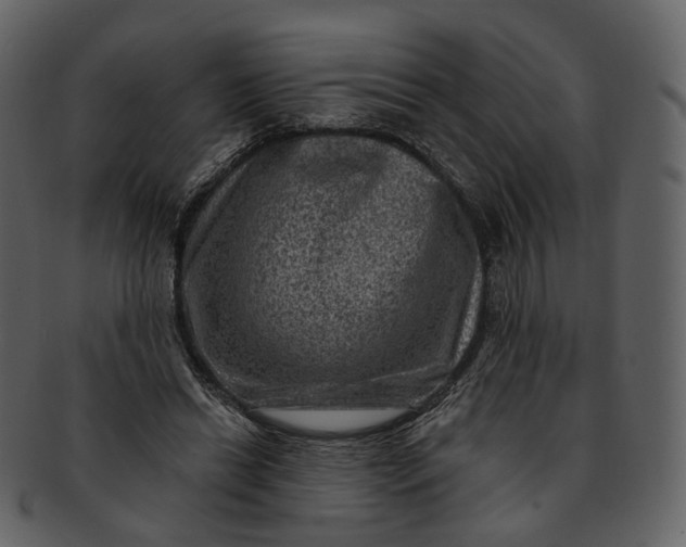 X0000092300446200710051223