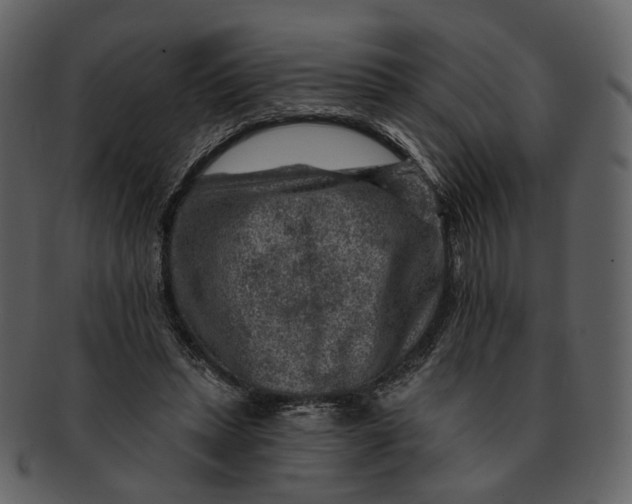 X0000092300447200710051223