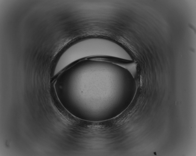 X0000092300448200710051223