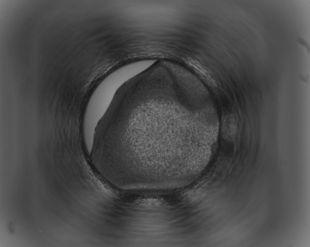 X0000092300449200710051223