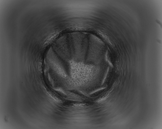 X0000092300450200710051223