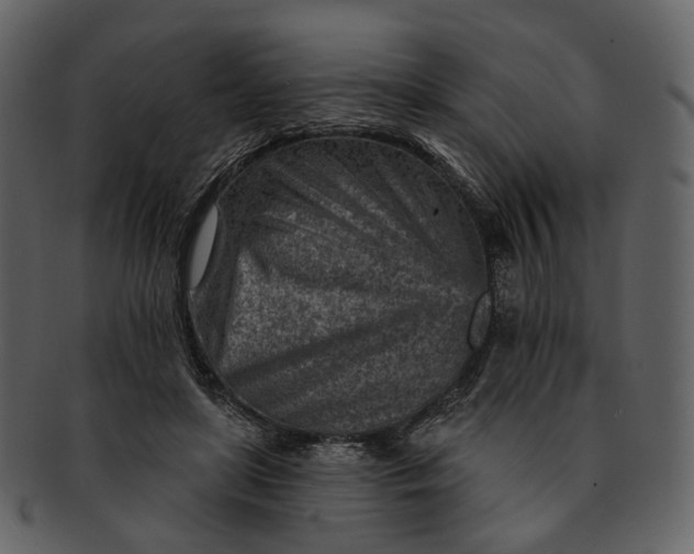 X0000092300451200710051223