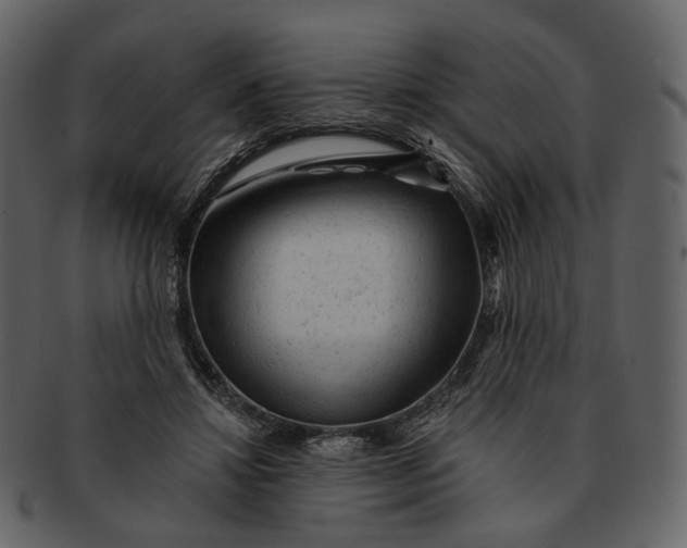 X0000092300452200710051223