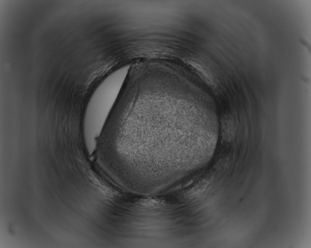 X0000092300453200710051223