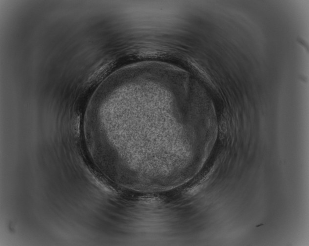 X0000092300454200710051223