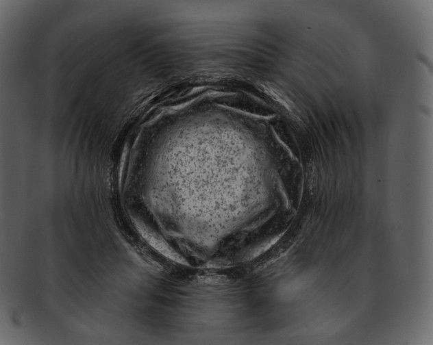 X0000092300455200710051223