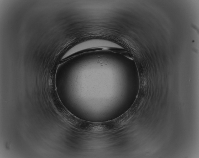 X0000092300456200710051223