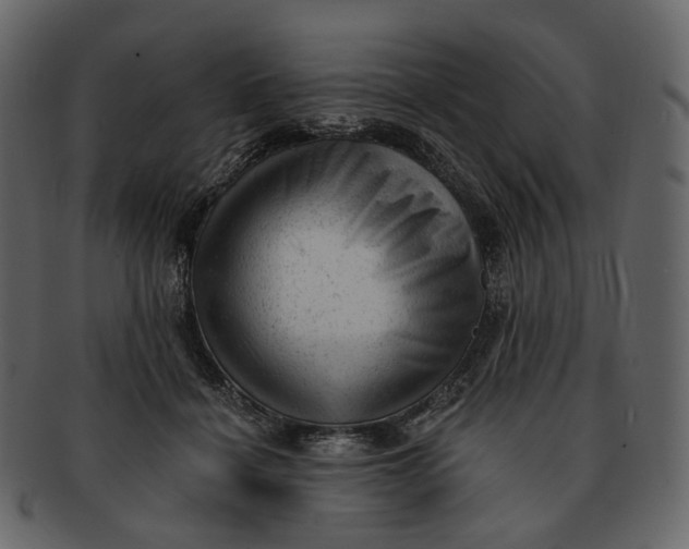 X0000092300460200710051223