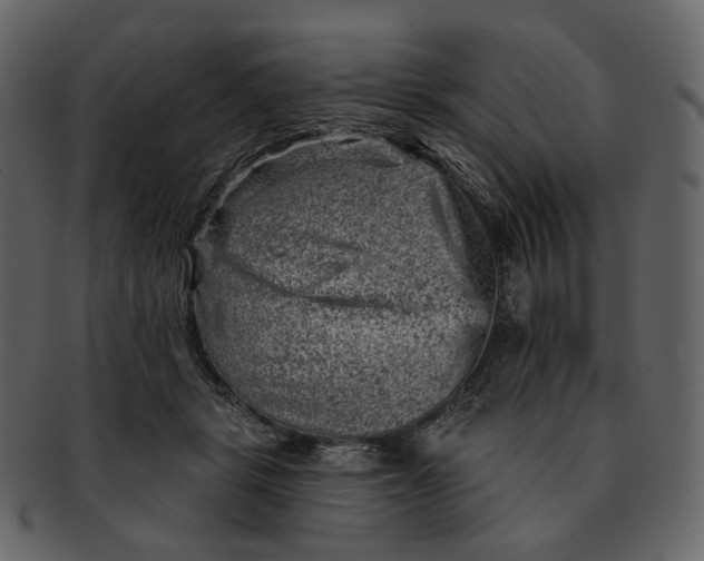 X0000092300461200710051223