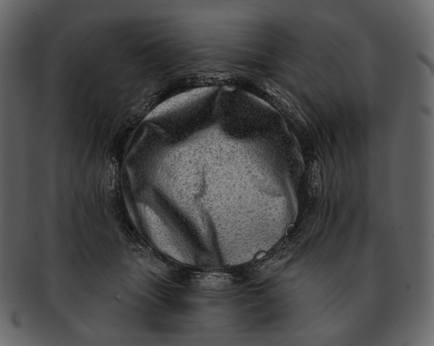 X0000092300463200710051223