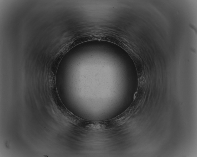 X0000092300464200710051223