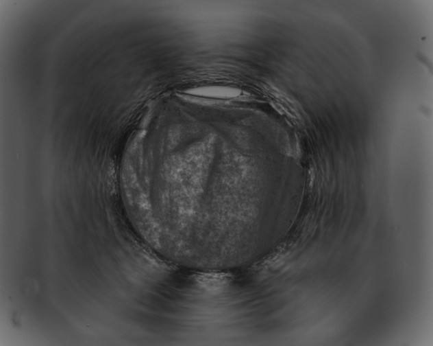 X0000092300465200710051223