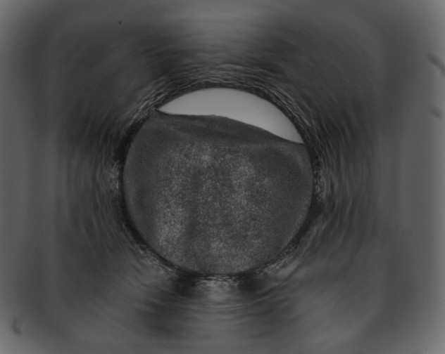 X0000092300466200710051223