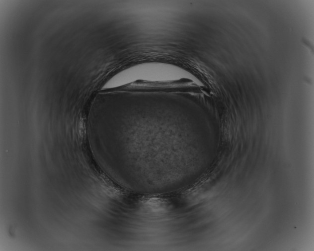 X0000092300467200710051223