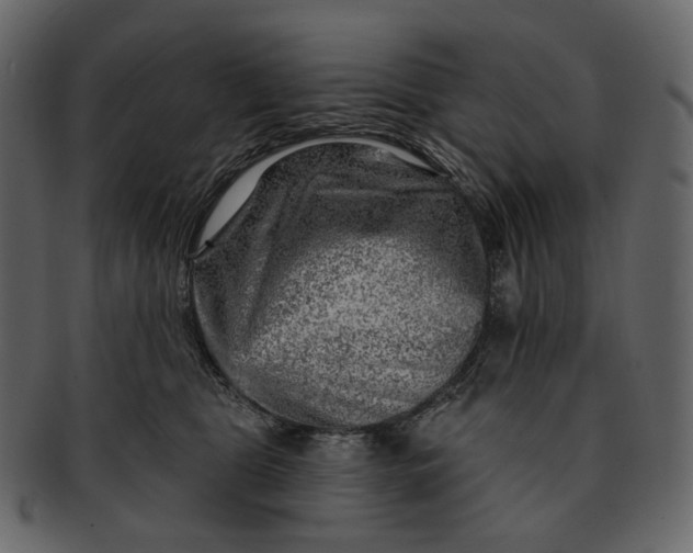 X0000092300469200710051223