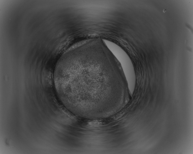 X0000092300470200710051223