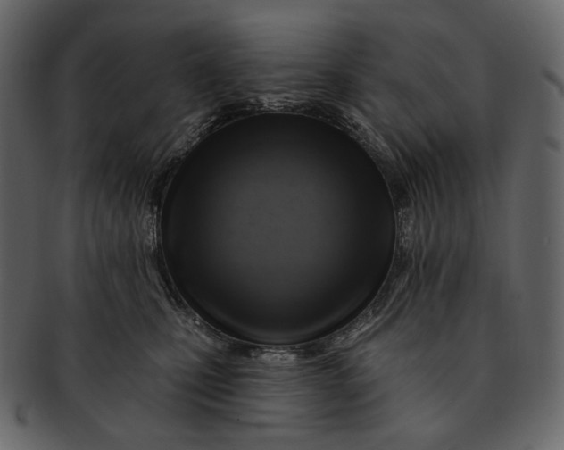 X0000092300471200710051223