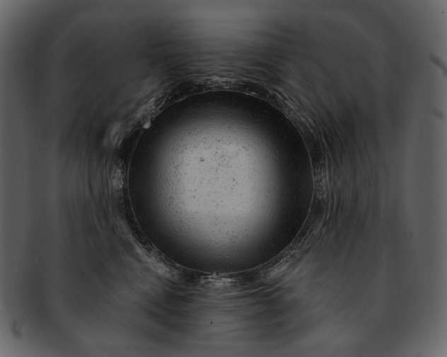 X0000092300472200710051223