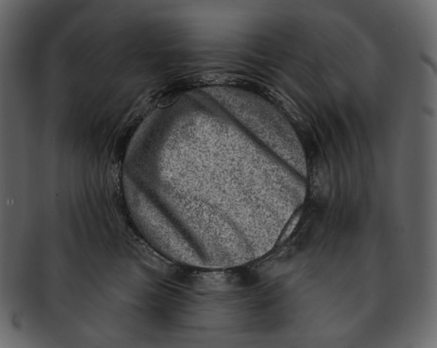 X0000092300473200710051223