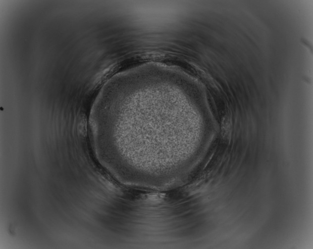 X0000092300474200710051223