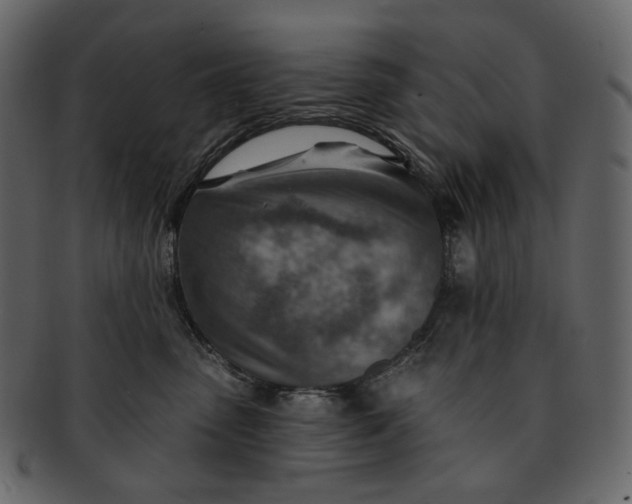 X0000092300475200710051223