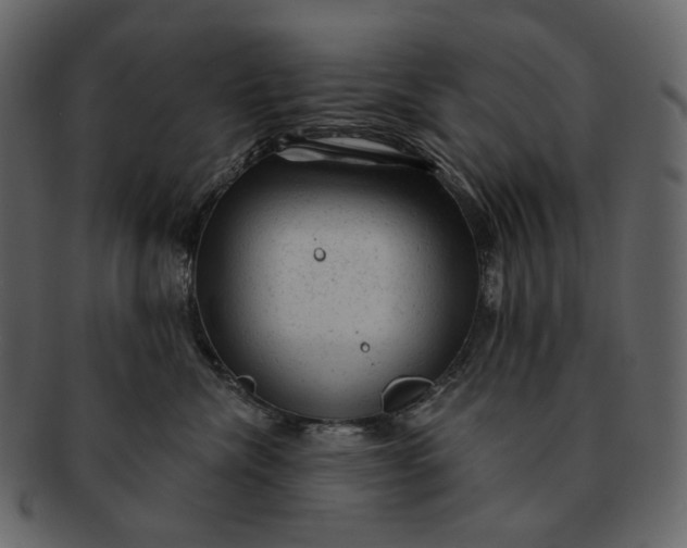 X0000092300476200710051223