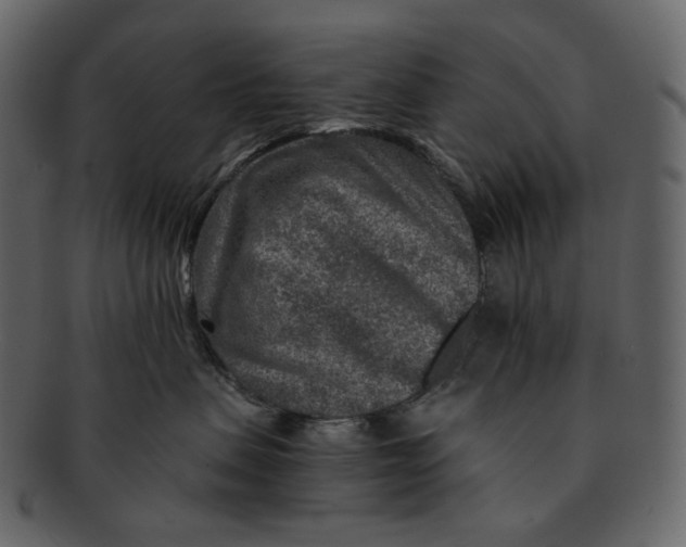 X0000092300479200710051223