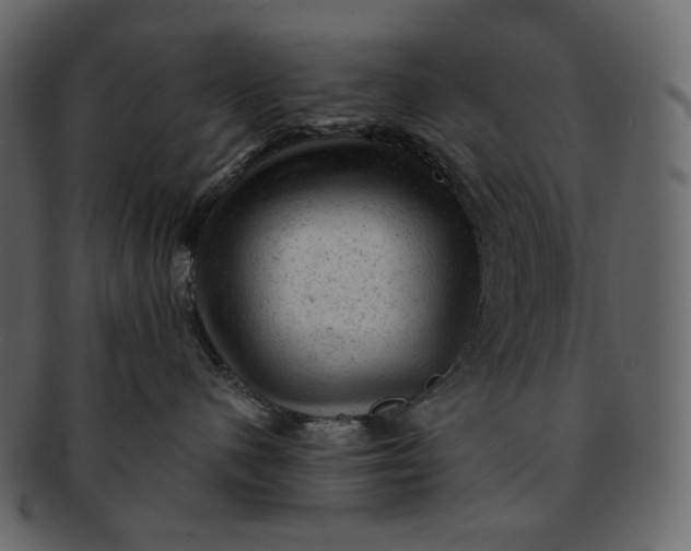 X0000092300480200710051223