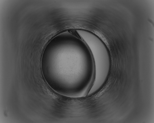 X0000092300481200710051223