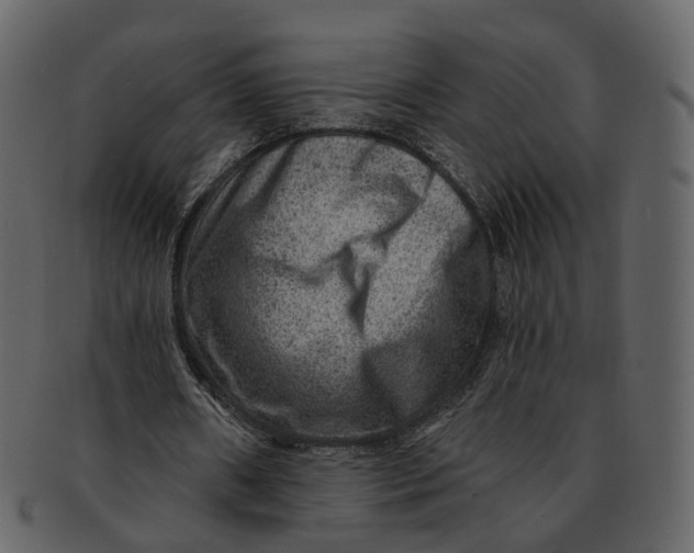 X0000092300482200710051223