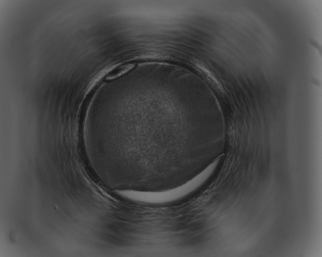 X0000092300484200710051223