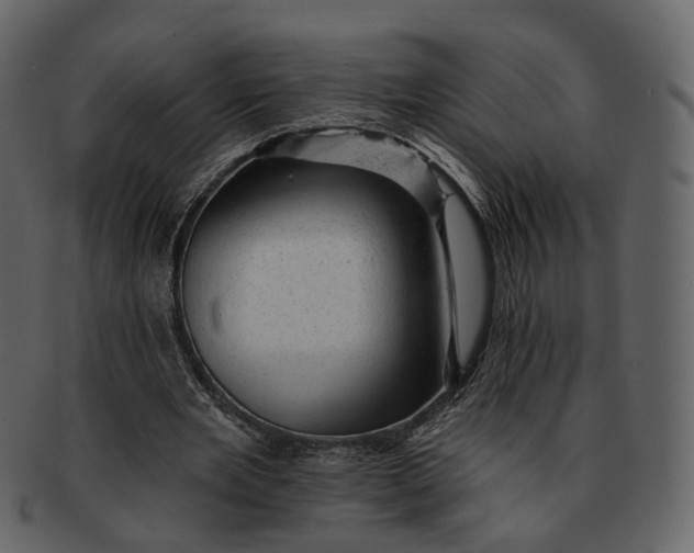 X0000092300485200710051223