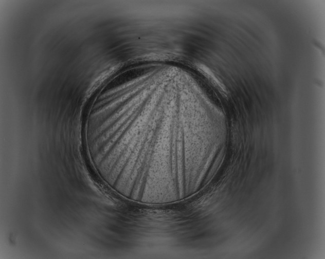 X0000092300486200710051223