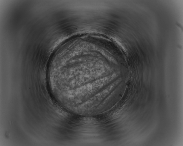 X0000092300487200710051223