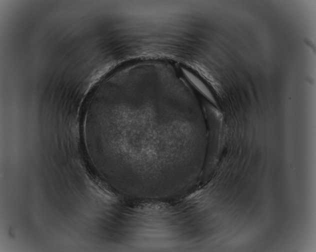 X0000092300488200710051223