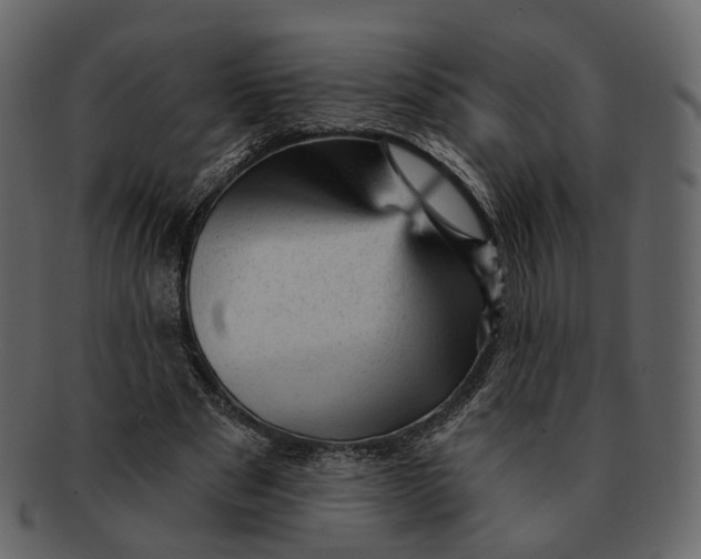 X0000092300489200710051223