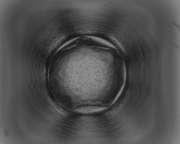 X0000092300490200710051223