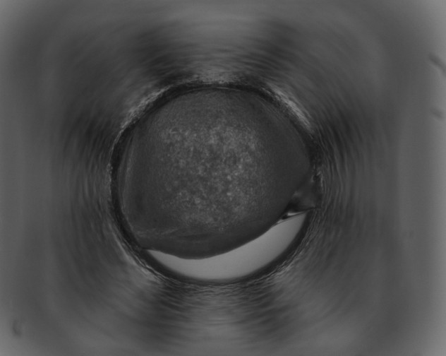 X0000092300492200710051223