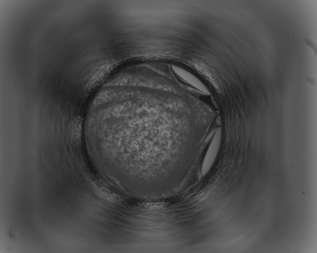 X0000092300495200710051223