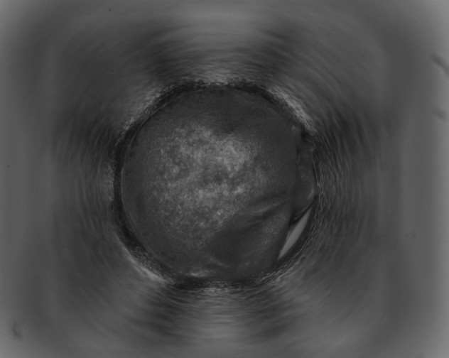 X0000092300496200710051223