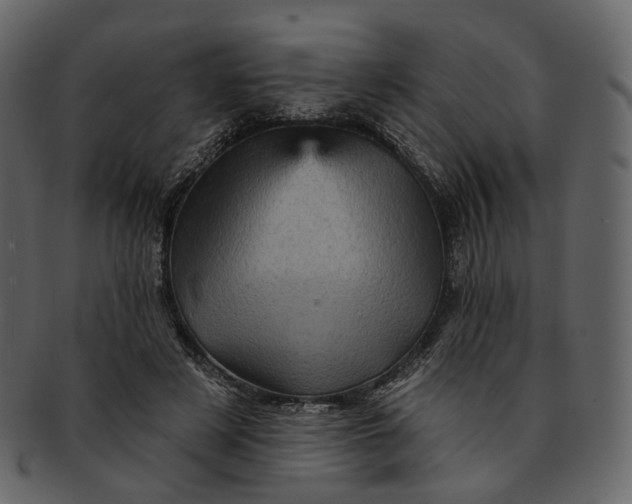 X0000092300497200710051223